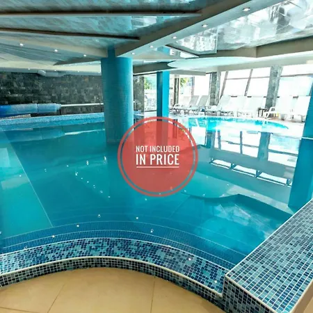 Belvedere Club к505